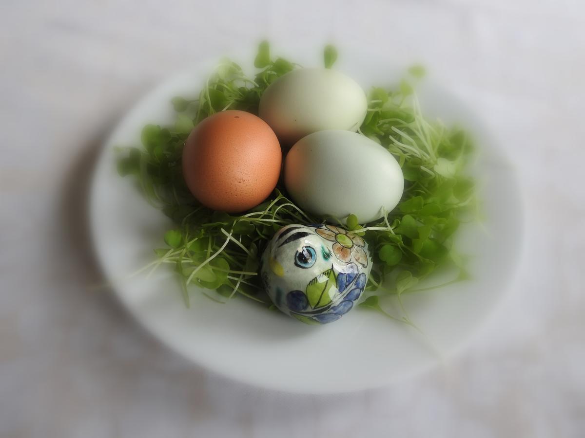 The Empty Nest B & B Carrying Place Екстериор снимка