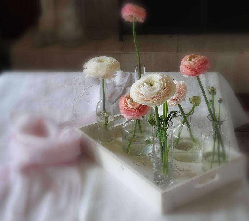The Empty Nest B & B Carrying Place Екстериор снимка